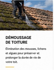 Démoussage de toiture